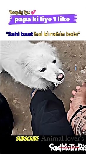 koi ladki se jyada isliye jamane Se pyar Karen mujhe chhodkar nahin jaenge #4kviral #cute #viral 🥺