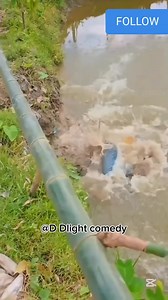 Who’s child is dis #fypシ゚viralシfypシ゚ | D Dlight comedy