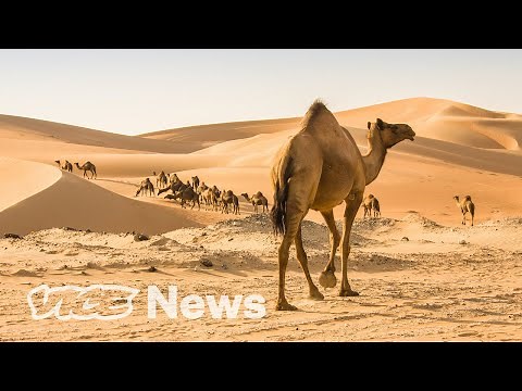 Deserts Are Taking Over The World