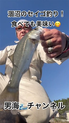 秋🍂の茨城県涸沼のセイゴ釣り！ハゼが食い悪い中、セイゴがメインで釣れました！食べても美味い😋夜から午前中まで、ポツポツ、ぶっ込み仕掛けで！天気も良く☀️最高な一日になりました👍