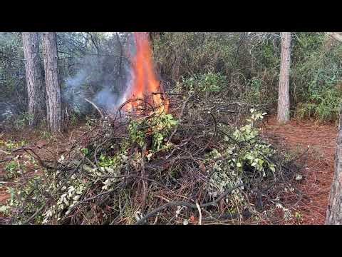 Vertical Ventilation in Brush Fire Explained