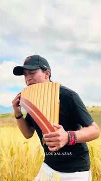 Song Of Ocarina - Pan flute - Video Vertical By Carlos Salazar
