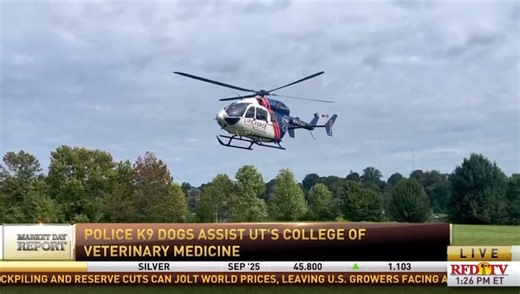 4.2K views · 71 reactions |  Exciting News!  Our K-9 Transport...