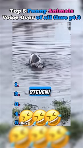 Animals voice over on Instagram: "Top 5 funny animals voice over of all time 🤣🤣 #animalslovers #animalcrossingnh #funnystuff"