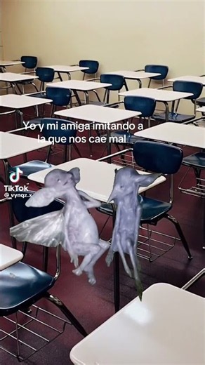 yo y mi amigix
