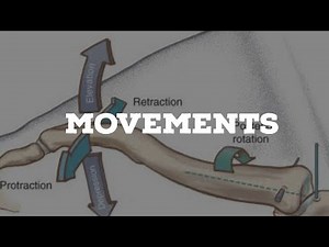 Movements of sternoclavicular joint