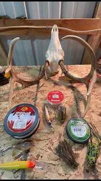 Different Types of Fishing Line | Fishing Tip #1 #fishing #howto #fishingline #learning