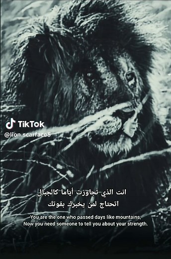 Dance Video Inspired by The Lion King and Papaoutai