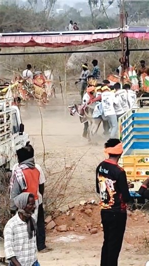 cow kid sounds cow moo sound #viral baby cow sound #shorts ! AnimalSound #cow #funny #reels #video