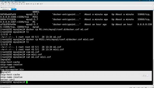 MyCat实战运用教程09-MySQL主从搭建#Mycat#Mycat教程
