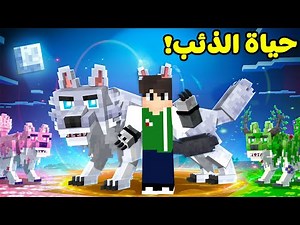 ماين كرافت : دورة حياة الذئب و الكلب | Minecraft !! 🐺🐶