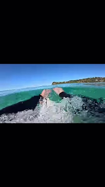 Surfing Adventures: Ride the Waves Like a Pro