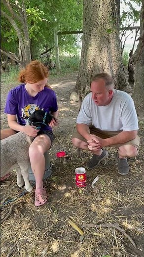 Training a New Lamb or Goat! | Bucket Time