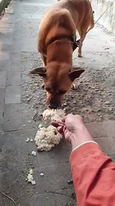 59K views · 62 shares | Candy on Reels | Facebook