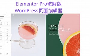 Elementor Pro破解版 WordPress页面生成器