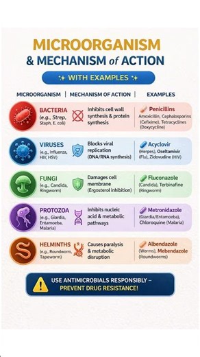 Pharmacology - Classification of Antimicrobial Drugs #pharmacology #antimicrobial