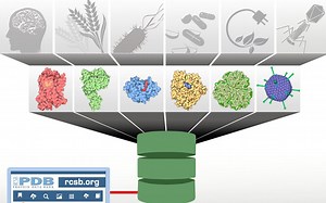 Pymol for Beginners - video 1 orientation