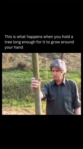 A tree grows around human touch and never forgets it. Giuseppe Penone created “It Will Continue to Grow Except at That Point” by fastening a cast of his own hand around the trunk of a young tree and then stepping away. Time did the rest. As the years passed, the tree expanded naturally in every direction except where the hand applied pressure. That single contact point became a lasting indentation, a physical memory of human intervention written into living wood. Nothing was carved or reshaped b