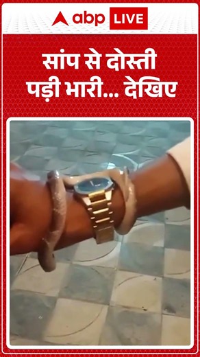 Viral News : सांप से दोस्ती पड़ी भारी... देखिए | #ytshorts #viral #viralvideo #snake #viralnews