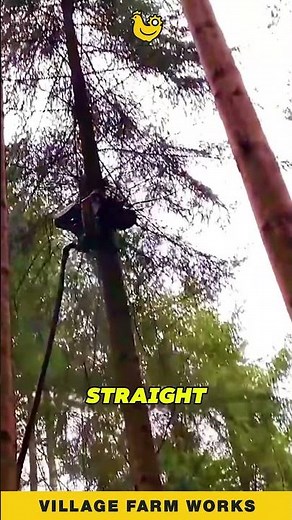 This Robot Trims Trees So Fast 🤖 #TreeTrimming