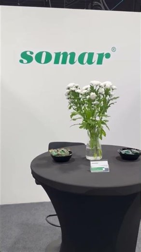 Somar na targach! Automatyzacji przemysłowej i robotyki