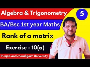 Rank of matrix bsc 1st year | Rank of matrix bsc 1st sem | Row echelon form | find column rank