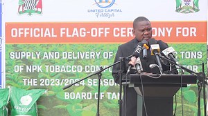Fertilizer export to Tanzania to generate over $26 million in forex The United Capital Fertilizer (UCF) has successfully commenced the export of 30,000 metric tons of NPK tobacco compound fertilizer for the 2023/ 2024 season to the tobacco board of Tanzania, attracting over $26 million in revenue. UCF Chief Executive Officer – CEO Roy Mwamba told the Zambian Business Times - ZBT in a separate interview that the total consignment for this is around $26 million USD. According to UCF, the company h