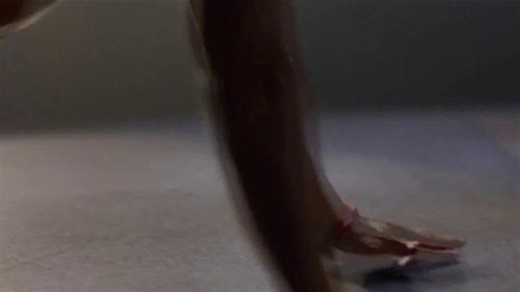 Kroger Health TV Spot, 'The Right Support' Featuring Joe Burrow