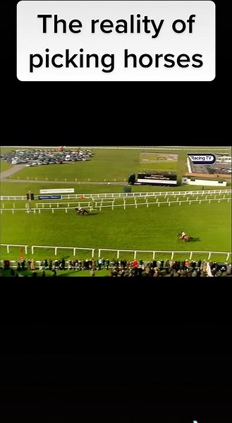 The Unlikely Victory of Starving Marvin in a Dramatic Horse Racing Moment