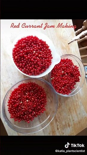 Make Red Currant Jam with All Natural Ingredients