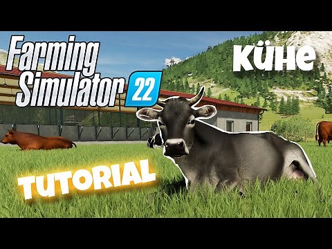 LS22 Kühe Tutorial | Wie haltet man Kühe im Landwirtschafts Simulator 22? |Grundlagen für Einsteiger