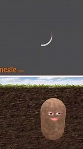 FBI potato police here 🥔🚔🚨 #police #potato #funny #comedy #haha | Zebadiah Davis