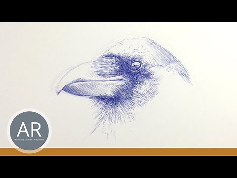 Tier-Skizzen mit Kugelschreiber zeichnen. Lerne mit uns Tierportraits zeichnen. Akademie Ruhr