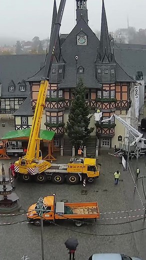 #wernigerode #weihnachten #harz #weihnachtsbaum #winter #weihnachtsmarkt
