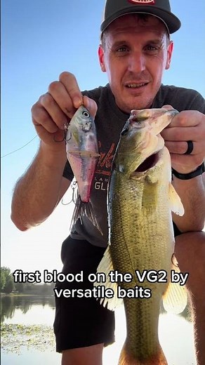 Versatile VG2 glide bait! Pond bass!