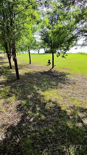 Practicing Smooth Tree Orbits With My Drone