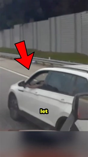 Road Raging Karen Brake Check Truck Driver 💀 #roadrage #karma #justice #shorts #viralshorts