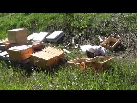 How I Killed my Hive Beekeeping Preparing Hives for bees new and old