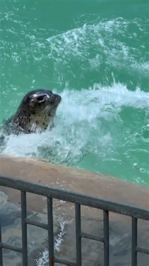 😂 | Animals World , Nature & Quotes