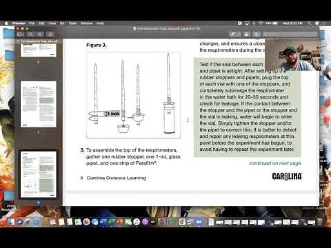 Cellular Respiration of Germinating Peas Lab