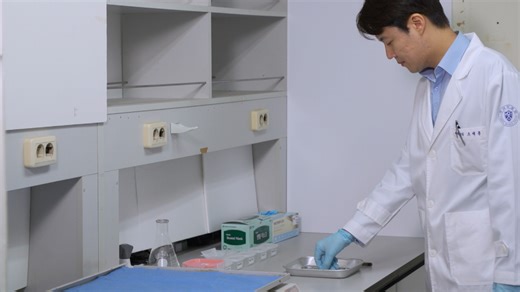 Eosin Staining of Soft-Tissue Samples: An Eosin-Based Procedure for Whole Mouse Kidney Staining to Visualize Specific Tissue Microstructures