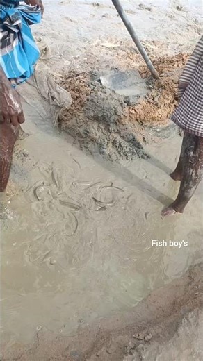 Fishing in mural fishing #fishing #fish #vlog #bigfish