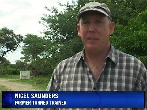 White Zimbabweans struggle with life after farming