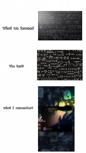 Engaging Shutline Animations to Love