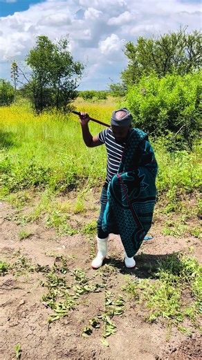 Discover the Rhythm of Sesotho Music: Ntata Onah