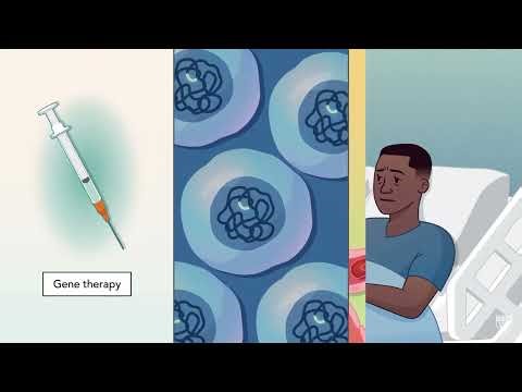 How Life Sciences Really Work: From Discovery to Patients | HealthXcelerate Courses
