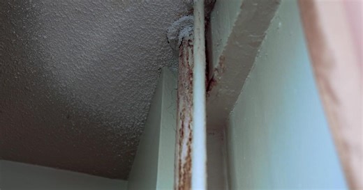 Resource may offer faster fix for NYCHA residents with mold, leaks
