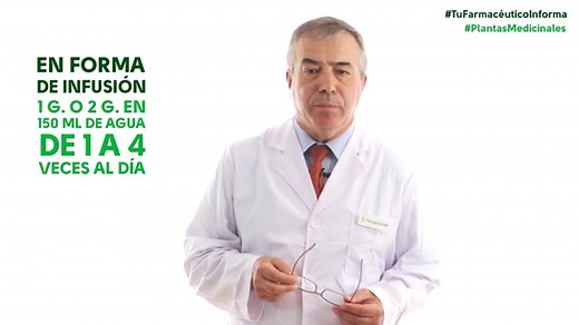 Pasiflora: para qué sirve. Propiedades, beneficios y 22 usos