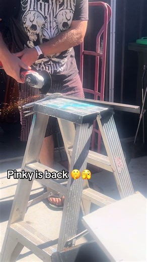 Pinky Returns: Stronger and Ready for Action