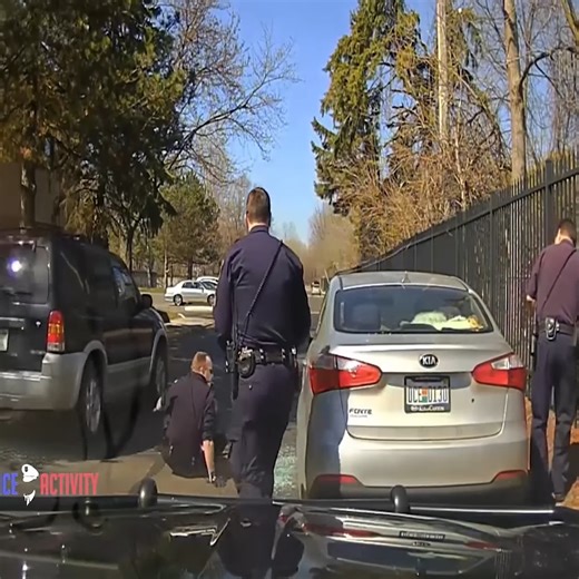 248K views · 1.4K reactions | Michigan Cop Shatters Car Window After Driver Refuses To Give ID | Police Inside | Facebook